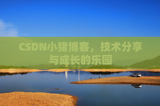 CSDN小猪博客，技术分享与成长的乐园